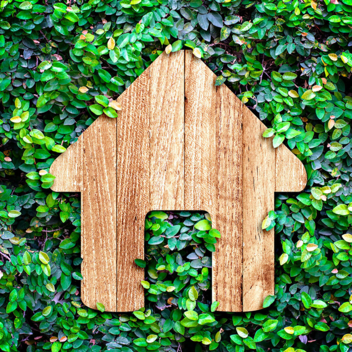 A wooden house shape set in vegetation